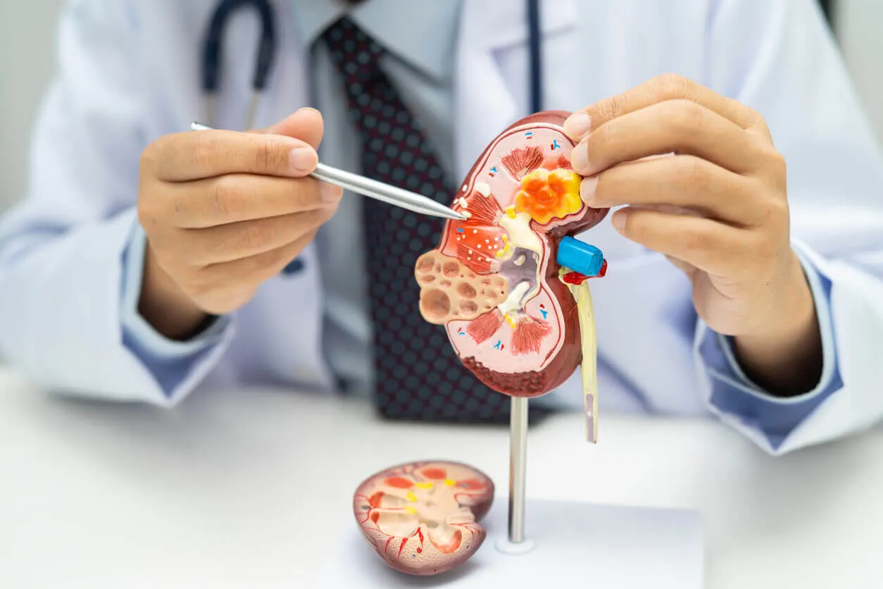 Nephrology image 1