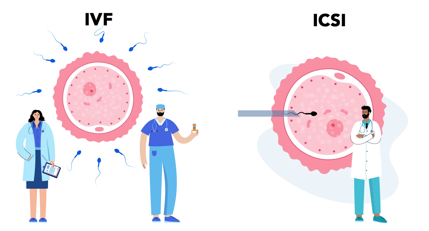 IVF / ICSI Treatment  image 1