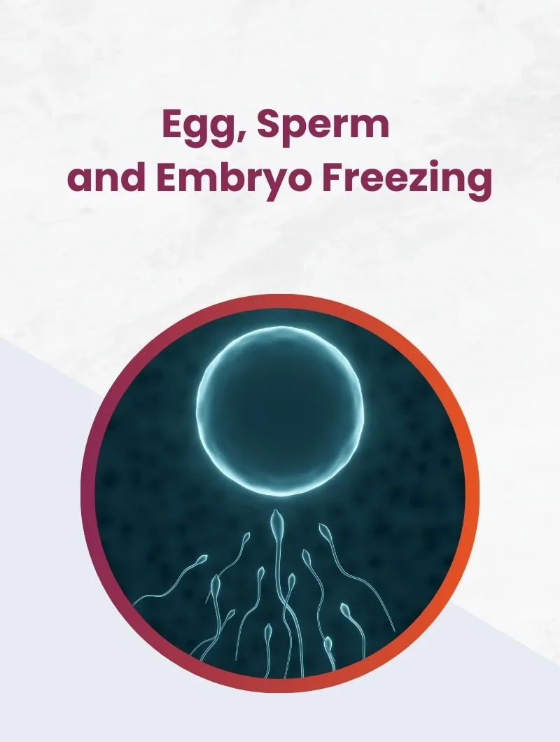 Sperm / Egg Freezing (Fertility Preservation) image 1