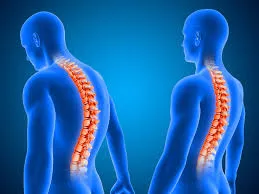 Spine & Postural Correction image 1