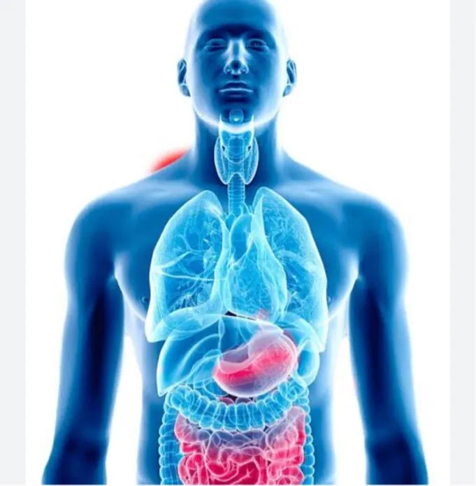 Laparoscopic Surgeon image 1