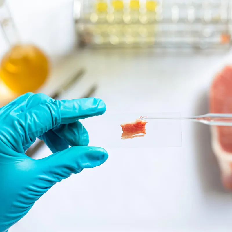 Bone Marrow Concentrate Treatment image 1