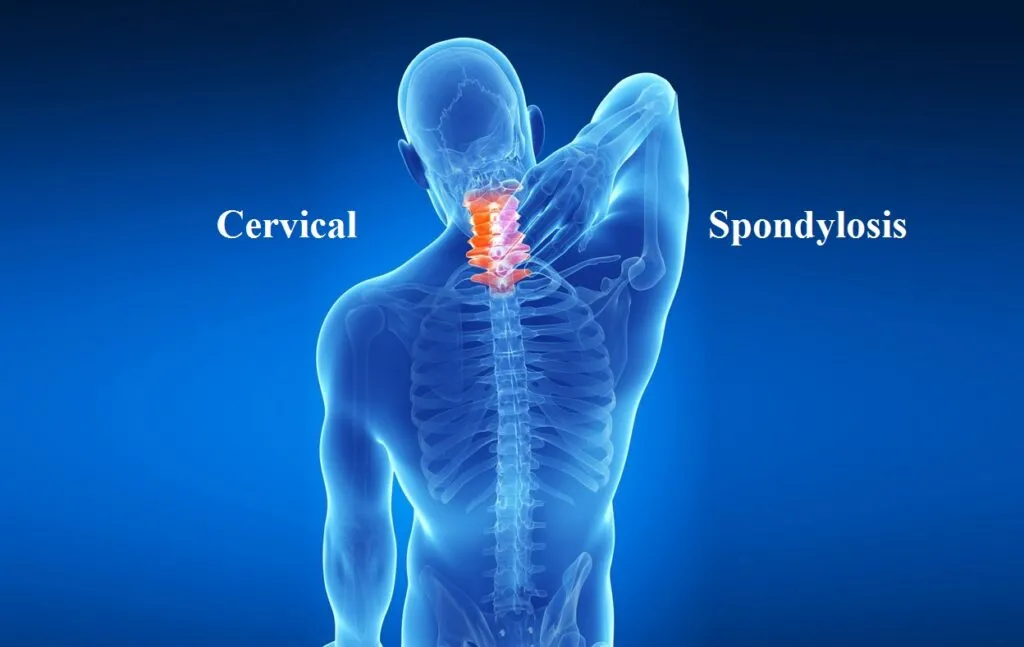 Physiotherapy Services  image 1