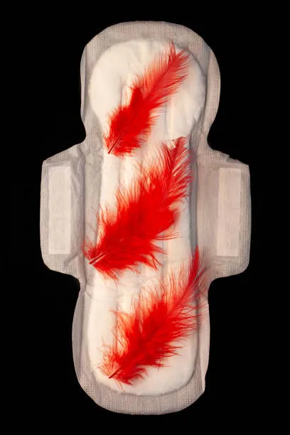 Menstrual disorders (irregular periods, heavy bleeding) image 1