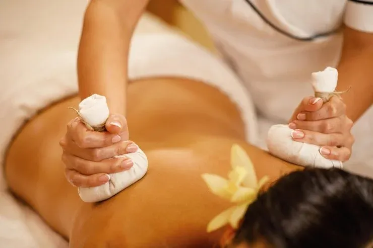 Panchakarma Therapy image 1