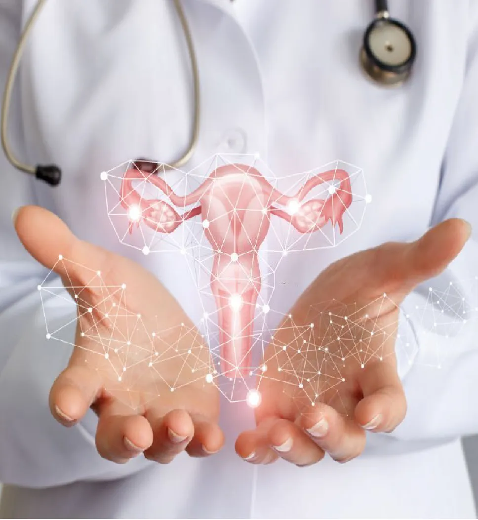 Gynecologist consultation image 1