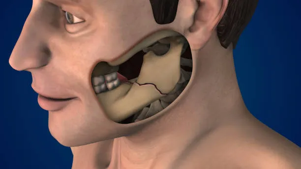 Management of Facial and Jaw Tumours image 1