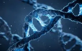 Genomic and Precision Oncology image 1