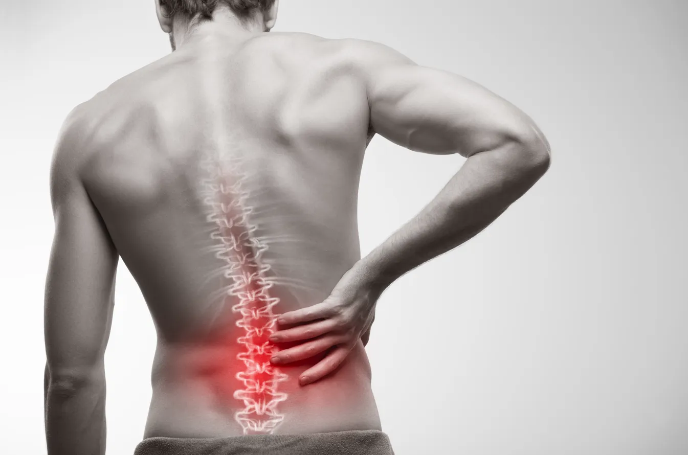 Mechanical Back Pain image 2