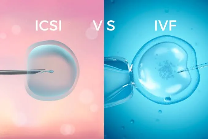 IVF/ICSI image 1