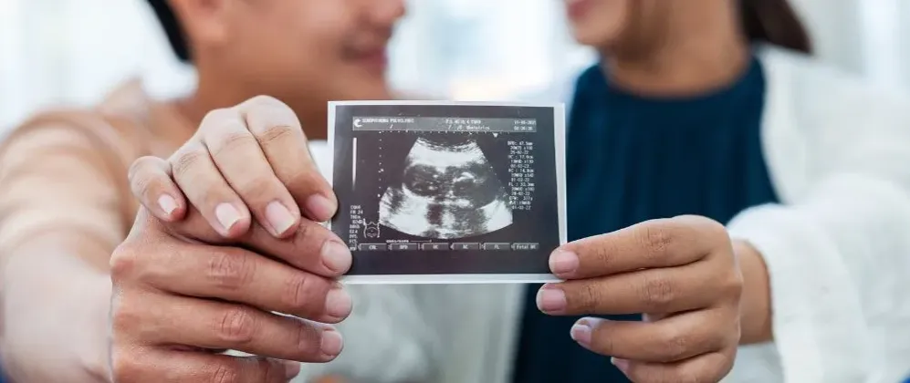 Male Fertility Scans image 1