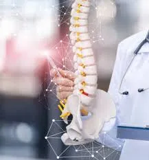 Transverse Myelitis image 1