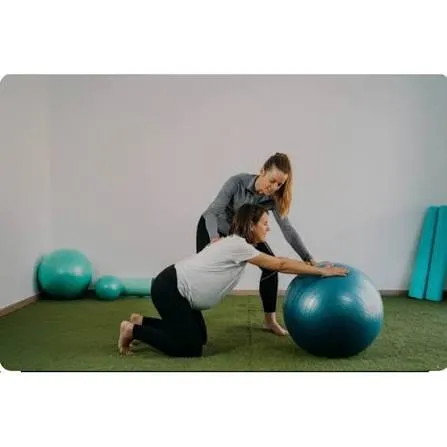 Women's Health: Pelvic floor training, prenatal/postnatal care, and incontinence treatment. image 4