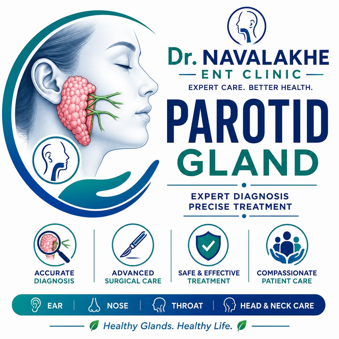 PAROTID GLAND  image 1