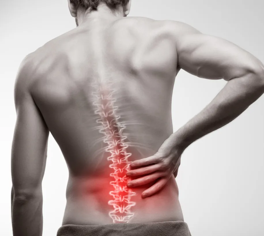 Spinal Cord Injury image 2