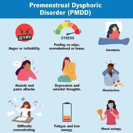 - Premenstrual Dysphoric Disorder (PMDD) image 1