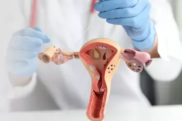 Contraception and Family-Planning Services image 1