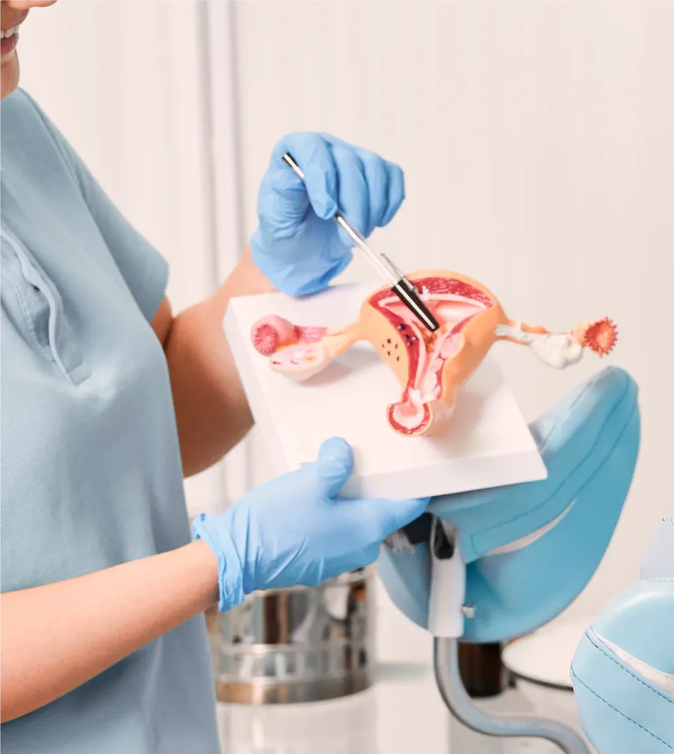 Robotic Gynaecological Surgery image 1