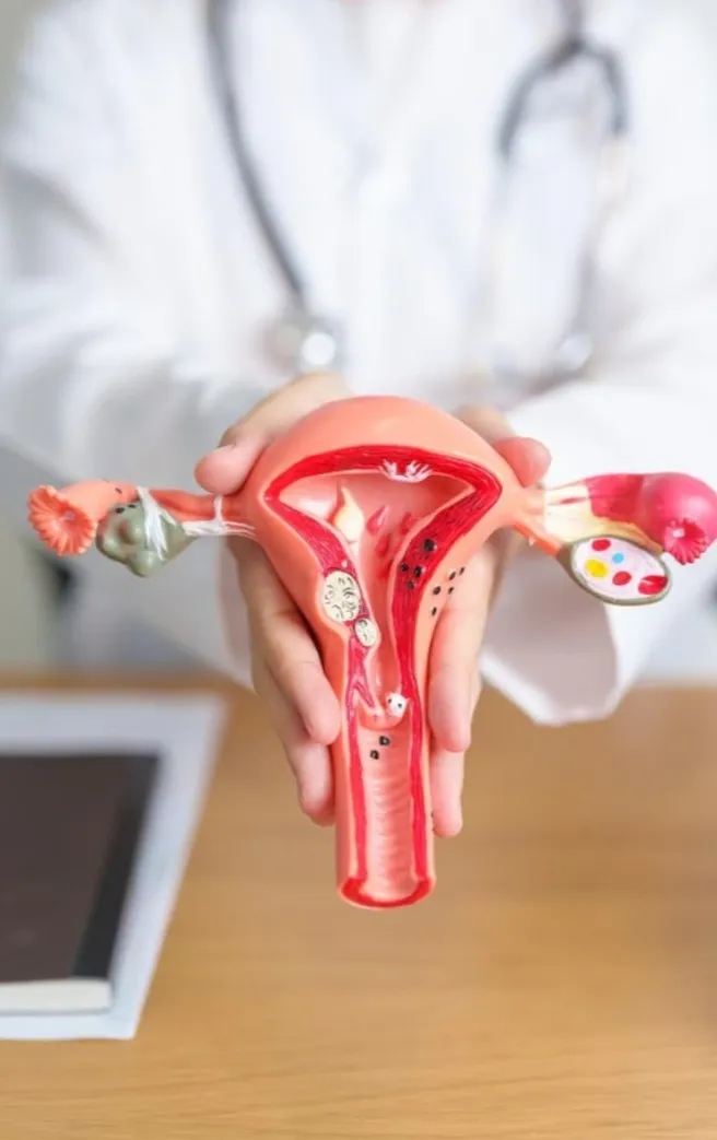 Pelvic Pain and Painful Intercourse Treatment image 1