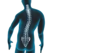 Spinal Deformities Treatment in Pune image 1