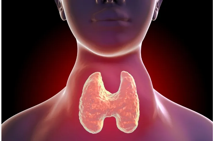 Thyroid & Hormonal Disorder image 1