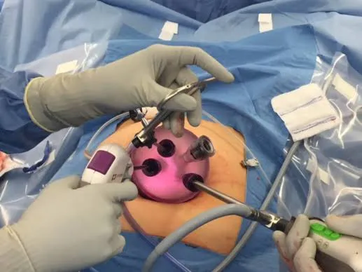 Gynecologic Oncology image 1