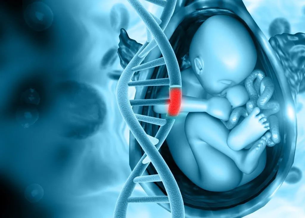 Fetal Medicine image 1