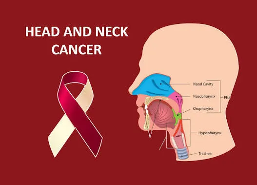 Head & Neck Oncology image 1
