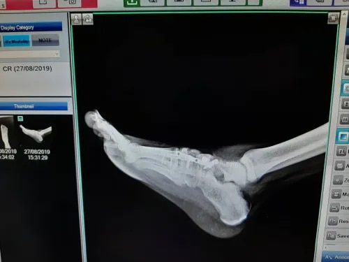 Digital Xray service image