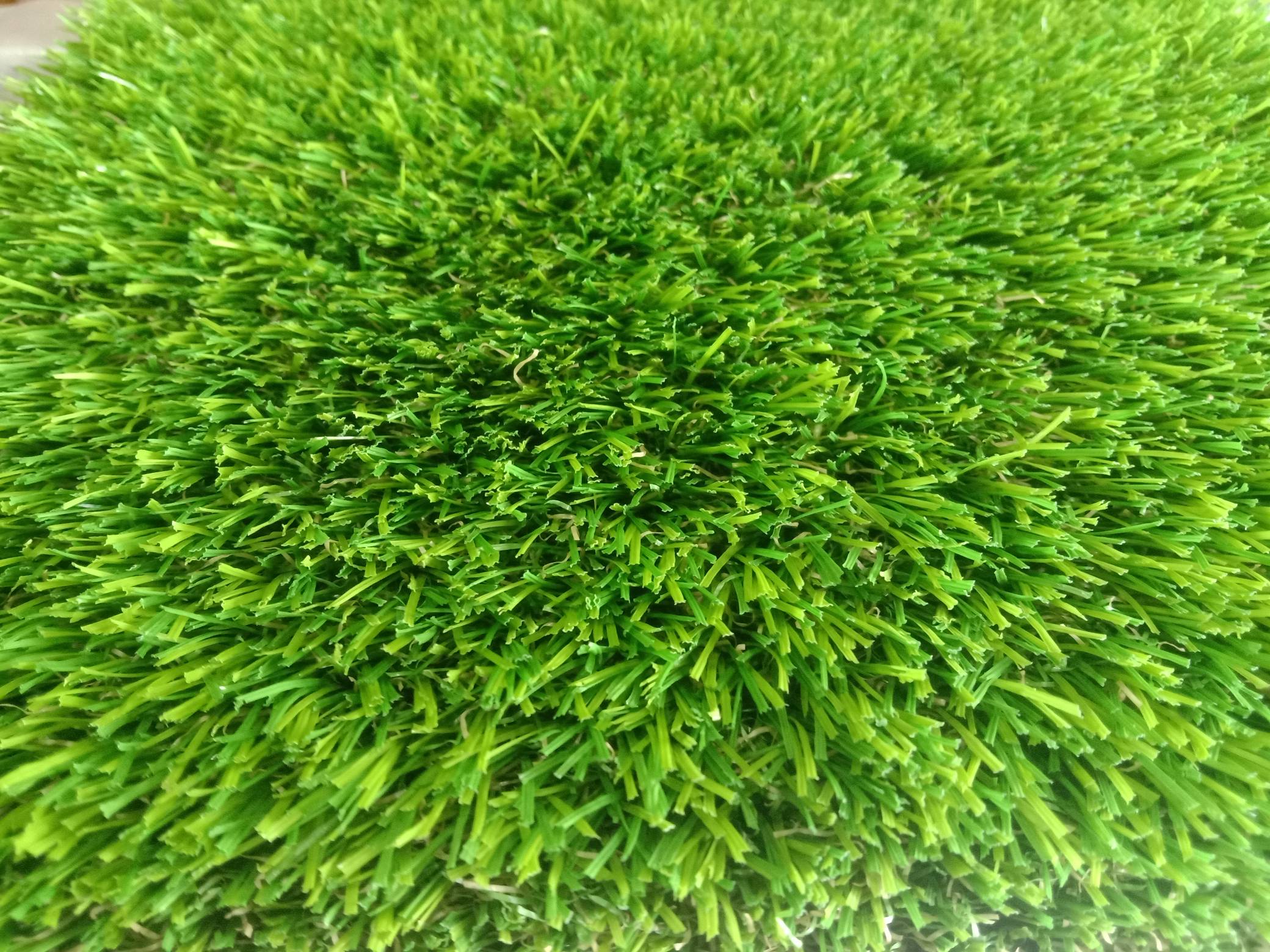Best Artificial Grass In Vadodara  