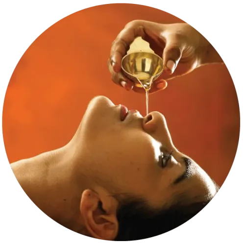 Nasya Treatment (नस्य कर्म) service image