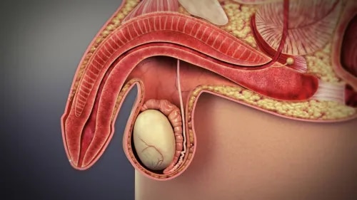 Erectile Dysfunction  service image