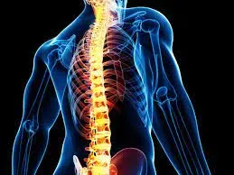 Surgery for Brain & Spine Trauma  service image