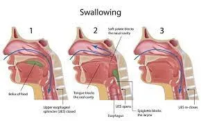 Swallowing Evaluation service image
