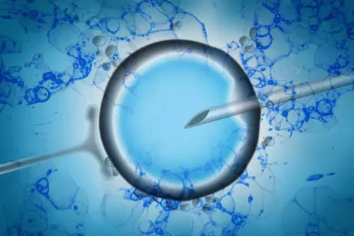 Infertility Treatment service image