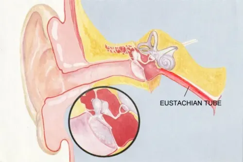 Nasal And Laryngeal Endoscopy Clinic in Rahatani,Kalewadi,Pimple Saudagar,PCMC service image