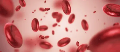 Hemoglobinopathy service image