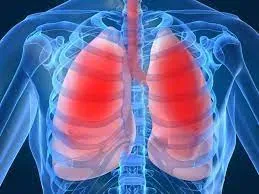 Pulmonary service image