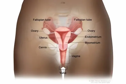 Uterine Cancer service image