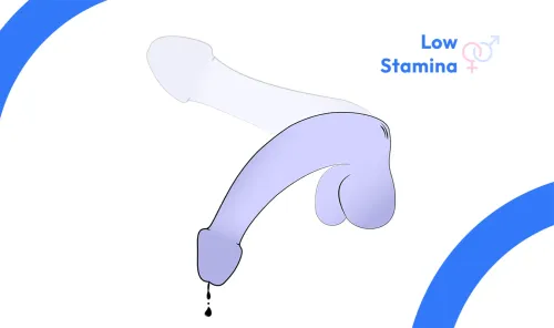 Low Stamina service image