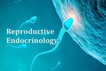 Reproductive Endocrinology service image
