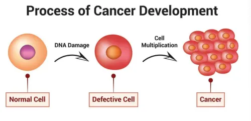 Diagnosis of cancer service image