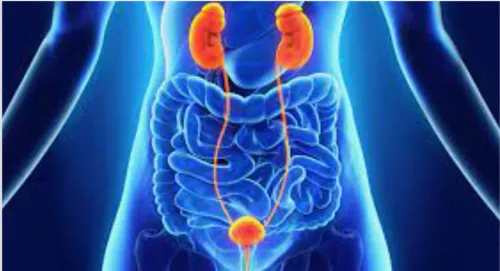 Genitourinary Cancer service image