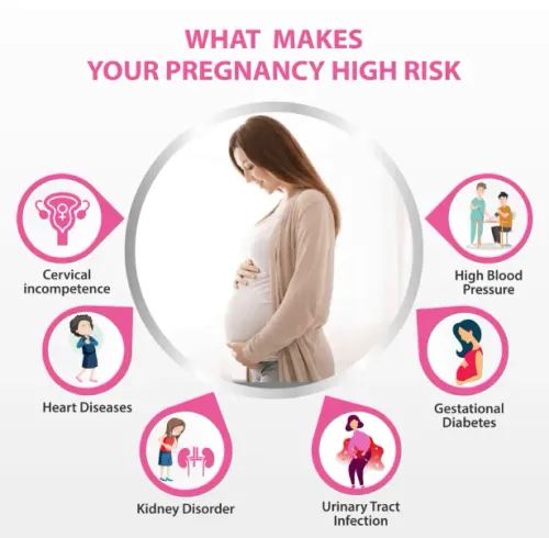 High Risk Pregnancy service image