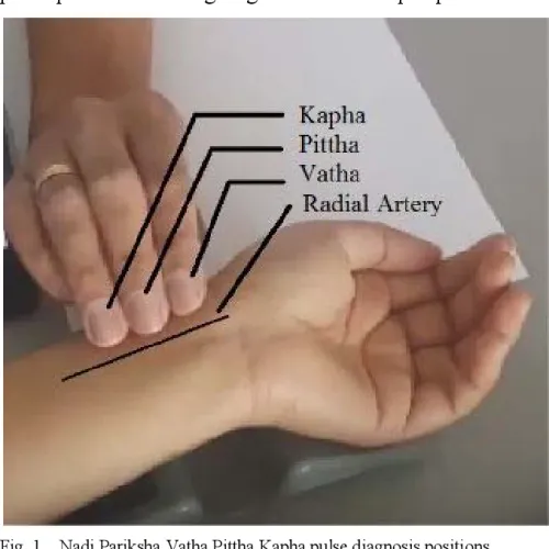 Naadi Pariksha Ayurveda service image