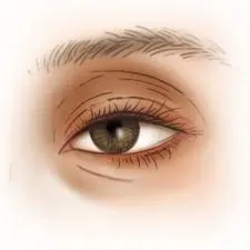 EYE PAP service image