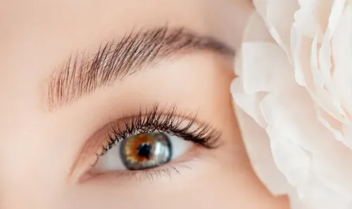 EYEBROW MICROBLADING service image