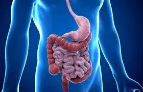 Gastrology service image