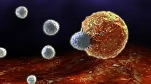 Immunity and Anti-ageing service image