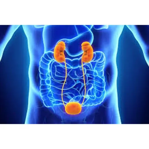 BLADDER SURGERY service image